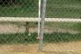 willywebsitepics 052